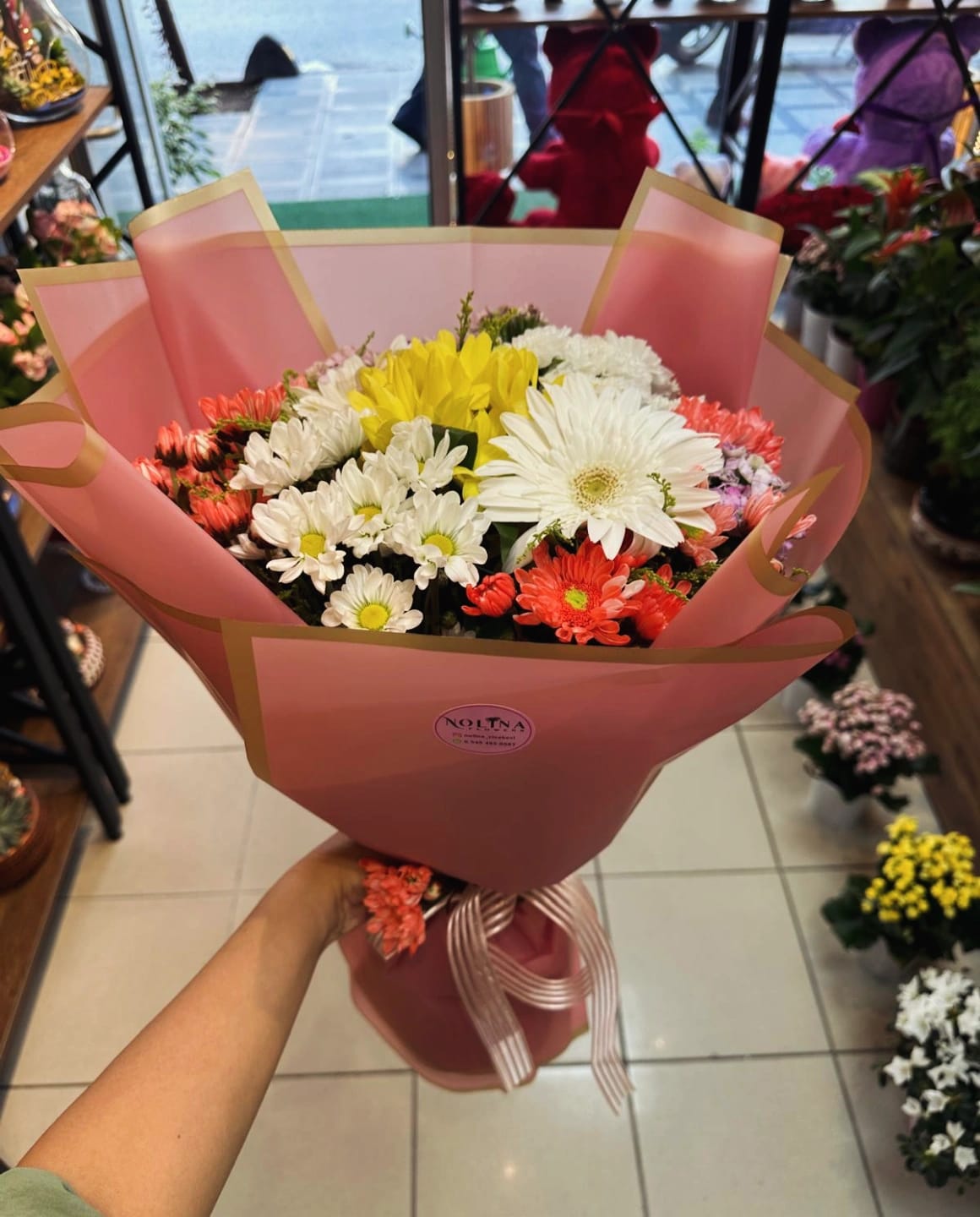 kırşehir çiçekci nolina çiçekçilik