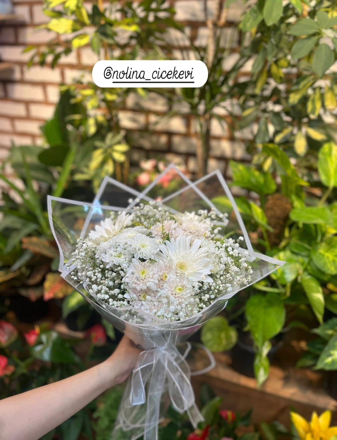 kırşehir çiçekci nolina çiçekçilik